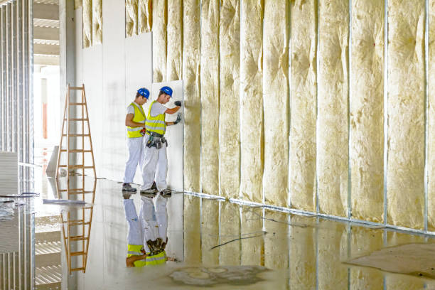 Best Insulation Maintenance and Repair in Clayton, MO